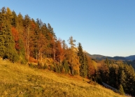 Allerheiligen (2).jpg